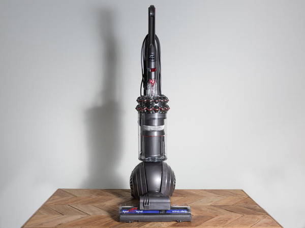 Dyson Cinetic Big Ball Animal Allergy