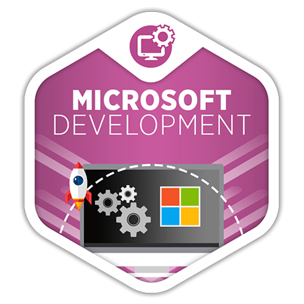 Microsoft Development Program