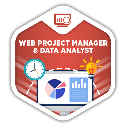 Web Project Manager & Data Analyst